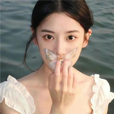 间谍兔洞第一季